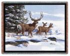Mule Deer Throw Blanket (Woven/Tapestry)