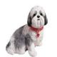 Shih Tzu Silver White Figurine Sculpture Life Size by Sandicast