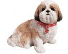 Shih Tzu Gold White Figurine Sculpture Life Size by Sandicast