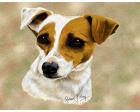 Jack Russell Lap Square Throw Blanket (Woven)
