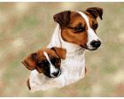 Jack Russell Lap Square Throw Blanket (Woven) (and Puppy)