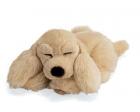 Cocker Spaniel Plush (Sleepy Time Puppy) 9 Inches by Gund