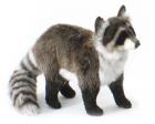 Raccoon Standing Plush Stuffed Animal 17 Inches Long by Hansa