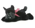 Scottish Terrier Plush Scotty (Mr Nick) 12 Inches Aurora Flopsie Scottish Terrier Plush Scotty (Mr Nick) 12 Inches Aurora Flopsie