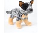 Australian Cattle Dog Plush 8 Inches (Clanger) by Douglas