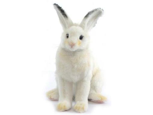 rabbit plush