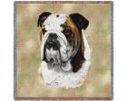 Bulldog Lap Square Throw Blanket (Woven)
