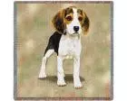 Beagle Lap Square Throw Blanket (Woven) (Puppy)