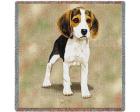 Beagle Lap Square Throw Blanket (Woven) (Puppy)