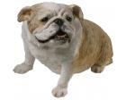Bulldog Brindle Figurine Sculpture Original Size by Sandicast Bulldog Brindle Figurine Sculpture Original Size by Sandicast