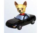 Doogie Sports Car