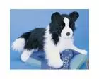 Border Collie Plush Stuffed Dog (Chase) 16 Inches by Douglas Border Collie Plush Stuffed Dog (Chase) 16 Inches by Douglas