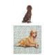Boykin Spaniel Glass Cutting Board