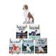 Welsh Springer Spaniel Hanging Tile