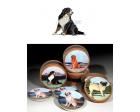 Bernese Mountain Dog Bisque Coasters