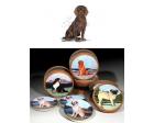 Boykin Spaniel Bisque Coasters