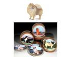 Pomeranian Bisque Coasters