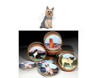 Silky Terrier Bisque Coasters