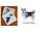 Alaskan Malamute - Coasters