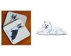 American Eskimo - Coasters