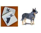 Australian Cattle Dog - Coasters