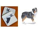 Australian Shepherd - Coasters