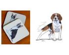 Beagle Coasters