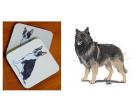 Belgian Terveren - Coasters