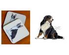 Bernese Mountain Dog - Coasters