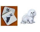 Bichon Frise Coasters