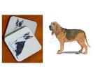 Bloodhound - Coasters
