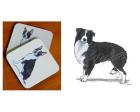 Border Collie - Coasters