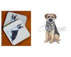 Border Terrier - Coasters