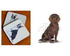 Boykin Spaniel - Coasters