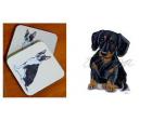 Dachshund Smooth, Black and Tan - Coasters