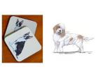 Petite Basset Griffon Vendeen - Coasters