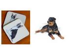 Rottweiler - Coasters