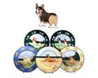 Welsh Corgi Earthenware Charger (Tri)