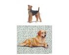 Airedale Terrier Glass Cutting Board