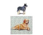 Australian Cattle Dog Glass Cutting Board