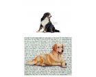 Bernese Mountain Dog Glass Cutting Board