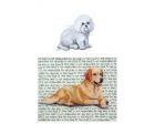 Bichon Frise Glass Cutting Board