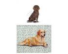 Boykin Spaniel Glass Cutting Board