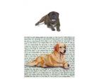 Bullmastiff Glass Cutting Board