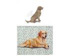 Chesapeake Bay Retriever Glass Cutting Board