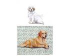 Clumber Spaniel Glass Cutting Board