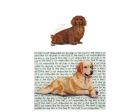 Dachshund Glass Cutting Board (Longhair, Red)