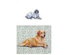 English Setter Glass Cutting Board