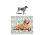 German Wirehair Pointer Glass Cutting Board