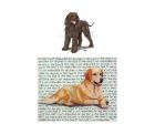 Irish Water Spaniel Glass Cutting Board